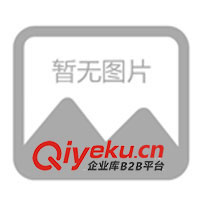 供應活力板、游龍板、沖浪板、滑板車/麥克街板